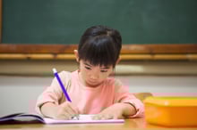 Cute pupil writing at desk in classroom at the elementary school