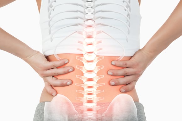 Common Back Concerns - A Delicate Matter