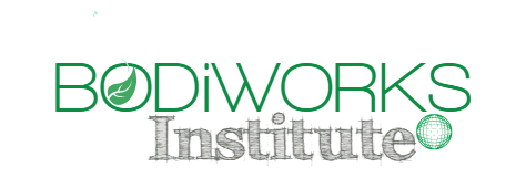 BODiWORKS Institute